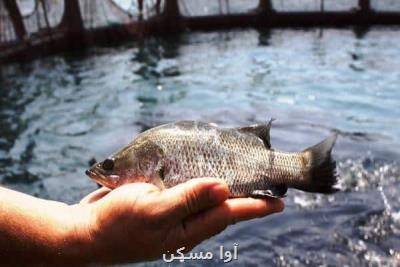 معرفی ۱۲ متقاضی دریافت تسهیلات بنیاد برکت به بانکها در آبادان