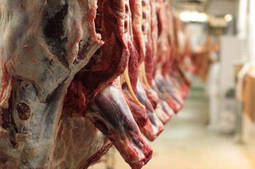 کاهش عرضه گوشت قرمز در کشتارگاه ها