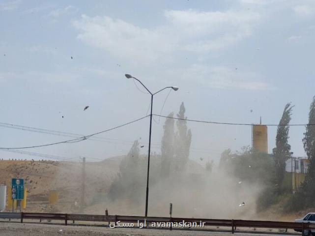 هشدار زرد وزش باد شدید در مناطق جنوبی کشور تا هفته آتی